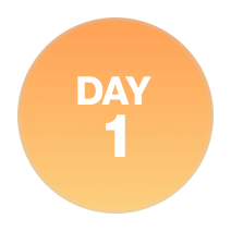 Day 1
