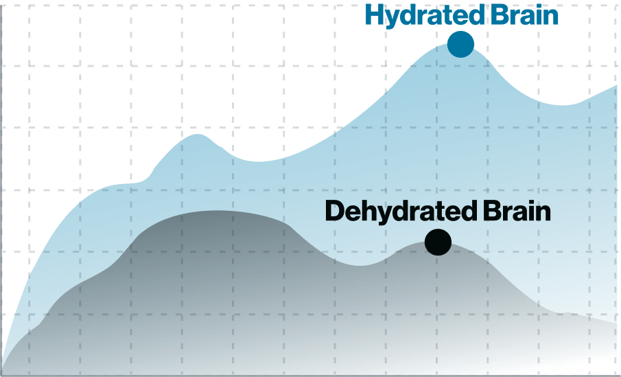 Brain performance comparison: hydrated vs dehydrated