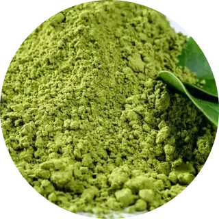 L-theanine green tea powder