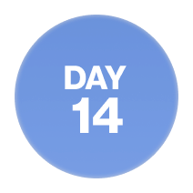 Day 14