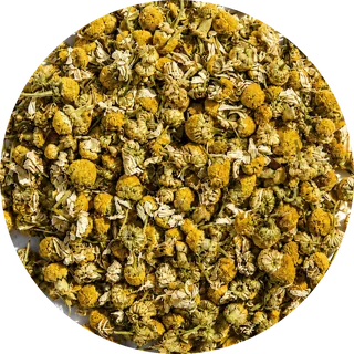 Dried chamomile flowers, the source of apigenin